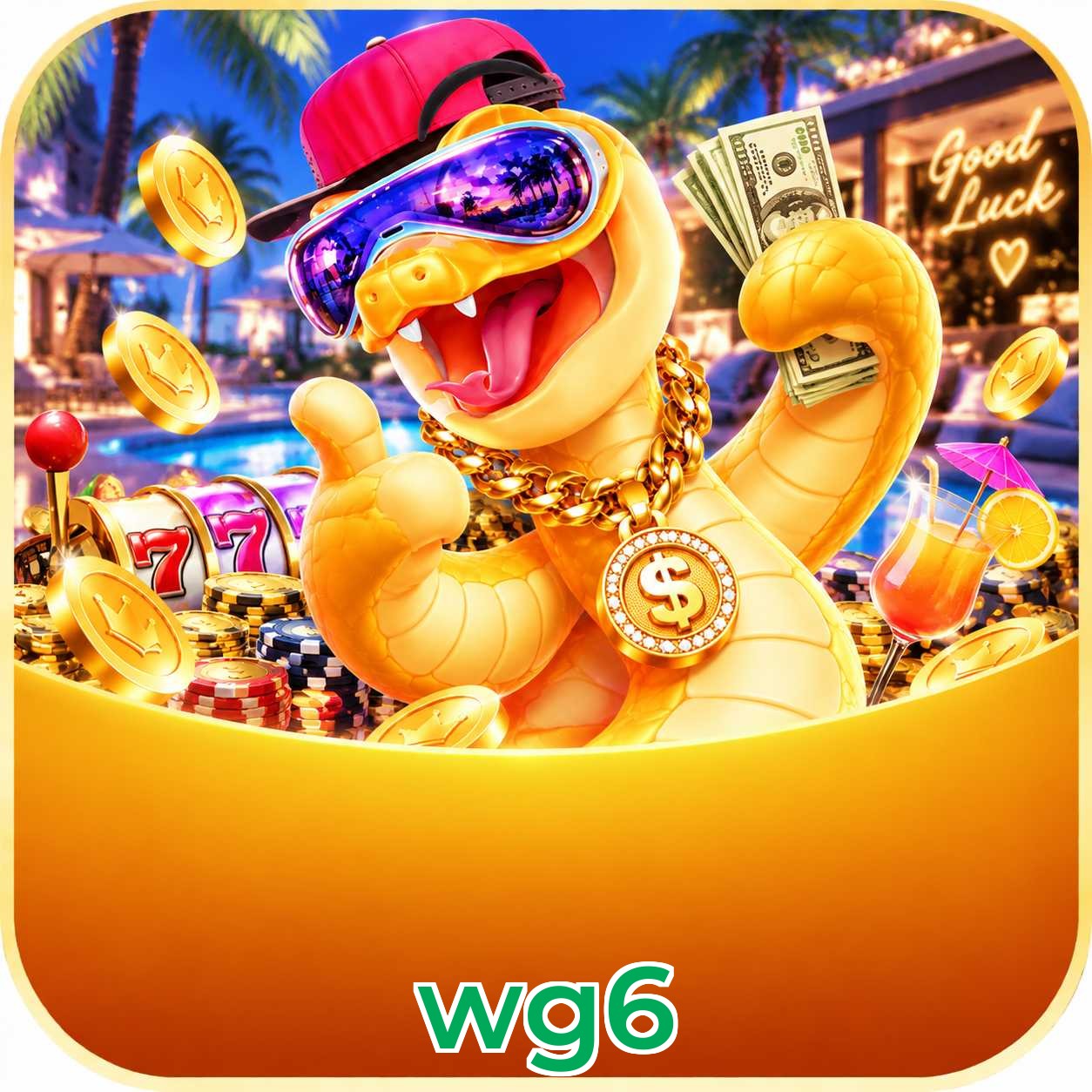 wg6 VIP FAQ
