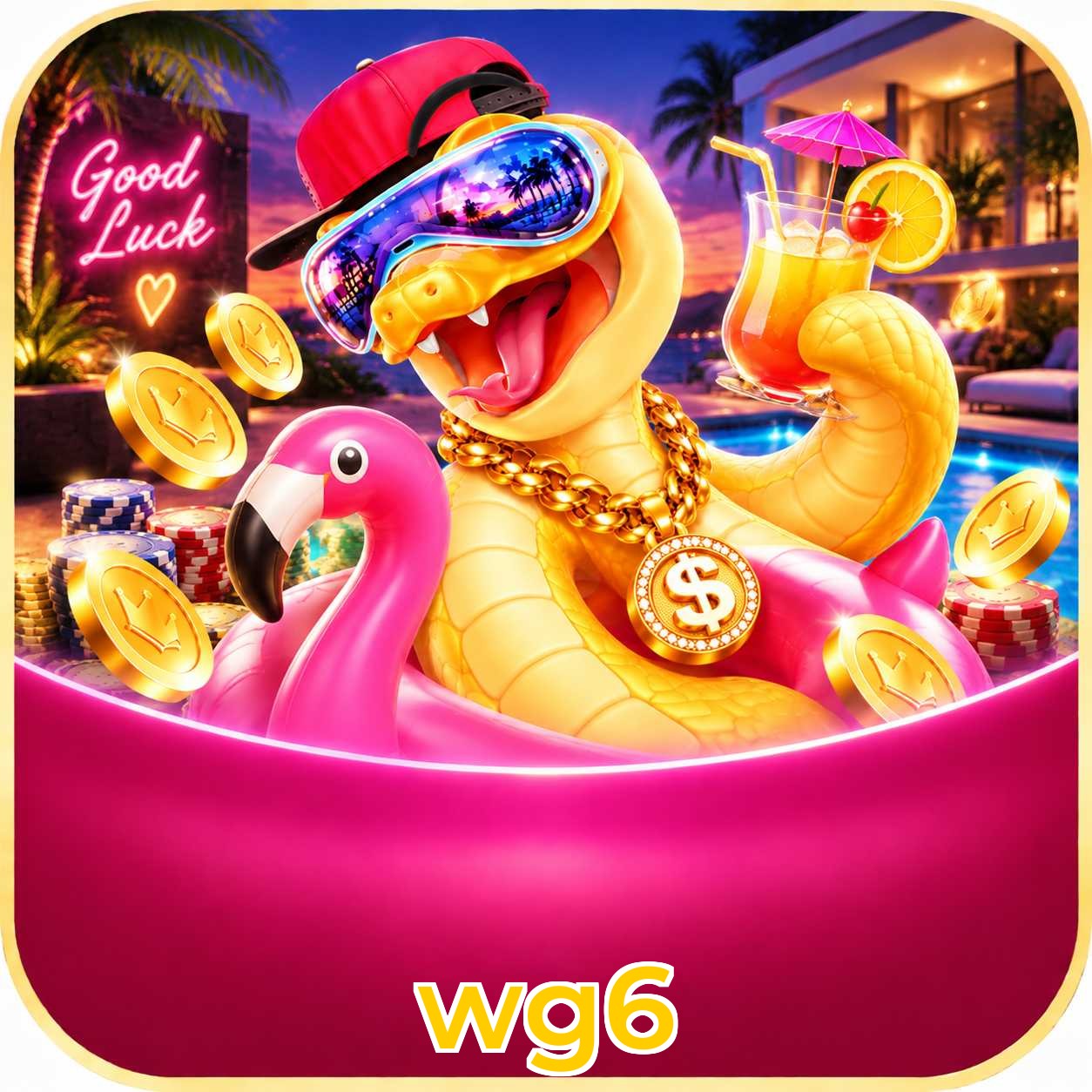 wg6 App Features