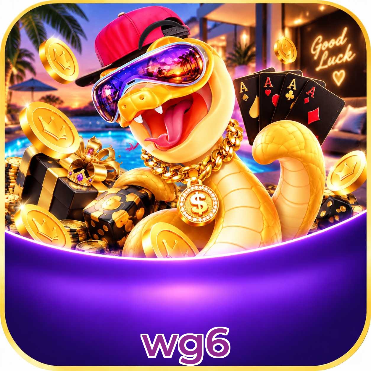 wg6 Suporte
