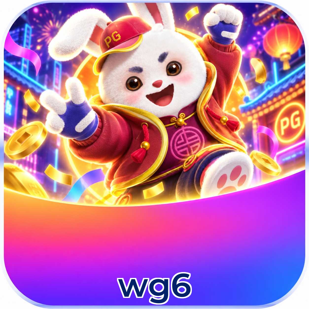 wg6 VIP Program